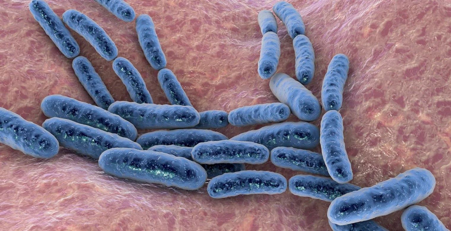 “Chủng lợi khuẩn” là gì? Vì sao cùng là Bacillus nhưng hiệu quả có thể khác nhau?